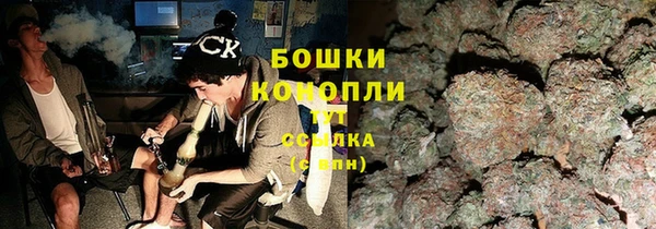 стаф Няндома