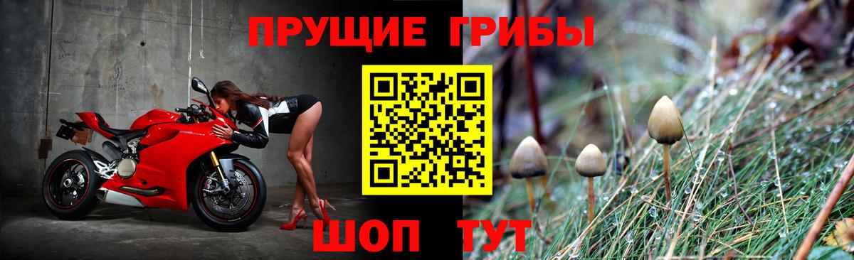 Каменск-Уральский  Псилоцибиновые грибы Psilocybe  Вход с VPN 